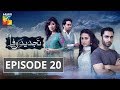 Tajdeed e Wafa Episode #20 HUM TV Drama 3 February 2018