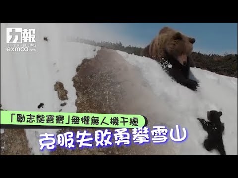 克服失敗勇攀雪山