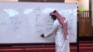 صورة مهارات التحليل النحوي | أ.د. محمد العمري | الدرس الثالث