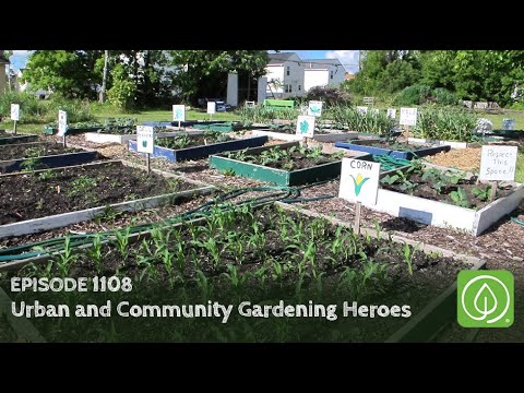 Growing a Greener World Episode 1108: Urban and Community Gardening Heroes