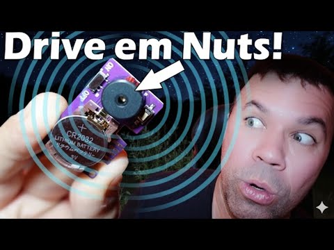 Fun Prank To Do on Your Family (Cricket Noise Maker Prank)