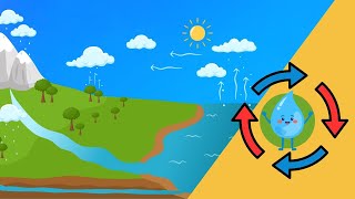 História do Ciclo da Água para Crianças| Vídeo sobre o Dia Mundial da Água para Educação Infantil