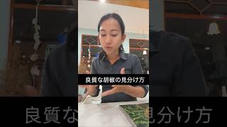 ライブ切り抜き【良い胡椒を見極めるには】
