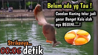 Download lagu DENGAN CARA INI ! Mancing Bawal Bisa Dapat Banyak,di Kolam yg Banyak ikan Mujaer nya mp3