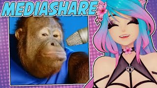 The Omni-thicc is back lol - This is THE BEST ASMR on YouTube ║ Silvervale Mediashare