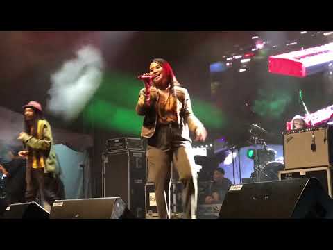 Salammusik - Cerita Kedai Kopi