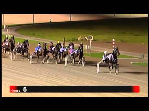 Victoria Park Wolvega 20-10-2012 koers 5 BUZZARD BOKO - N. JONGEJANS