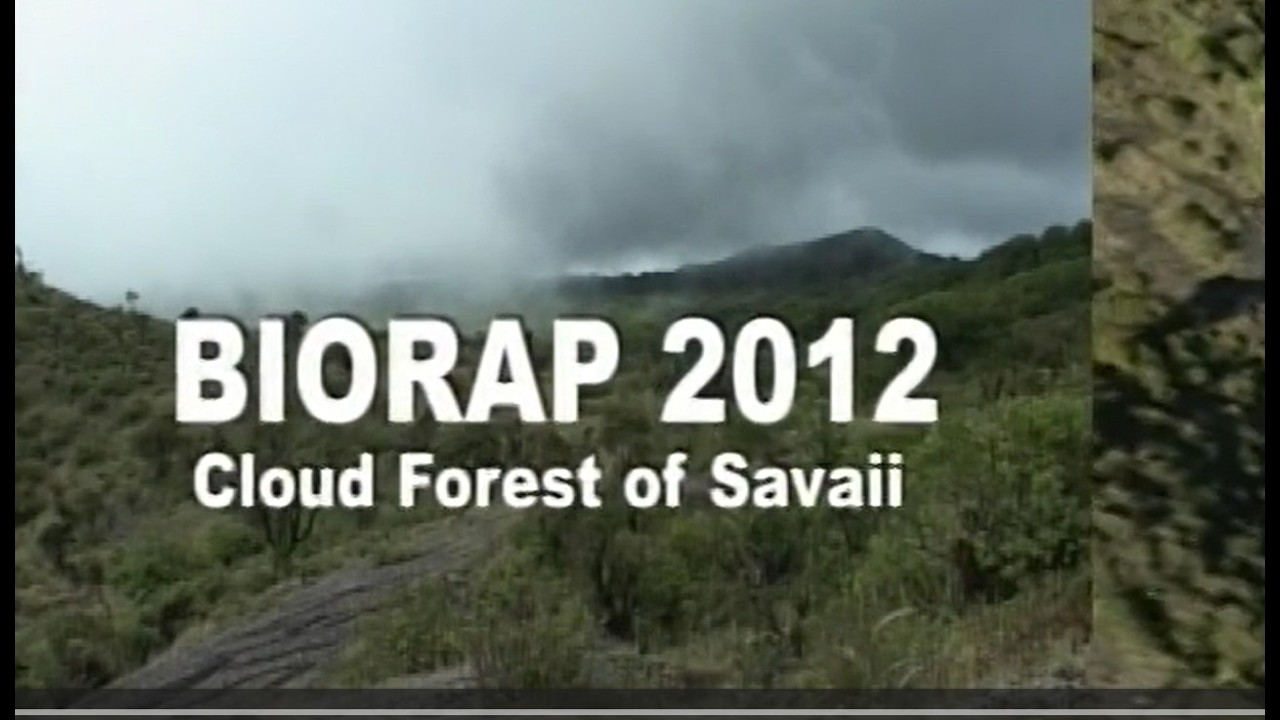 Preview: Biological Rapid Assessment Samoa 2012