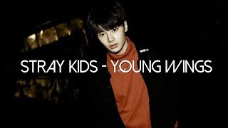[SUB ESP] Stray Kids - Young Wings Ver. Pre-debut Album Mixtape 'Re-subido'