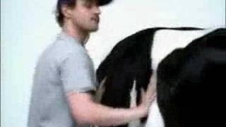 Carl's Jr. Milkshake