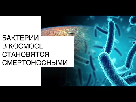 Новости науки 2020: бактерии становятся смертоносными в космосе