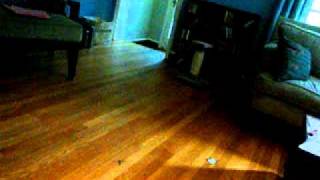 barnyard, brian wilson