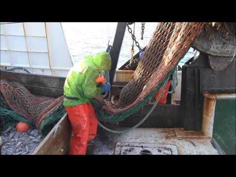 Squid fishing off Nantucket on the Ann Kathryn