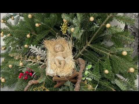 Božićna propovijed - 25. XII. 2025.