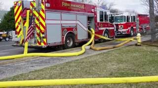 West End 57 "Diamond Eyes"