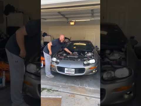Thumbnail for 2000 Catfish Camaro Rev for the neighbors.