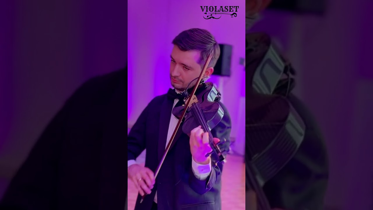 Promotional video thumbnail 3 for Luxury Violinist