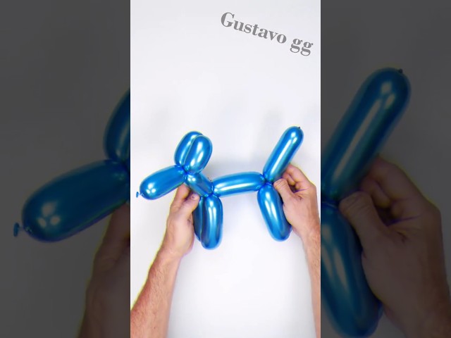 Vídeo relacionado con 6pcs Globos de Helio Para Perros, Globo 3D Autoportante para Cumpleaños, Globos de Animales con Base, Decoración para Fiestas Infantiles, Regalo de Juguete para Niños