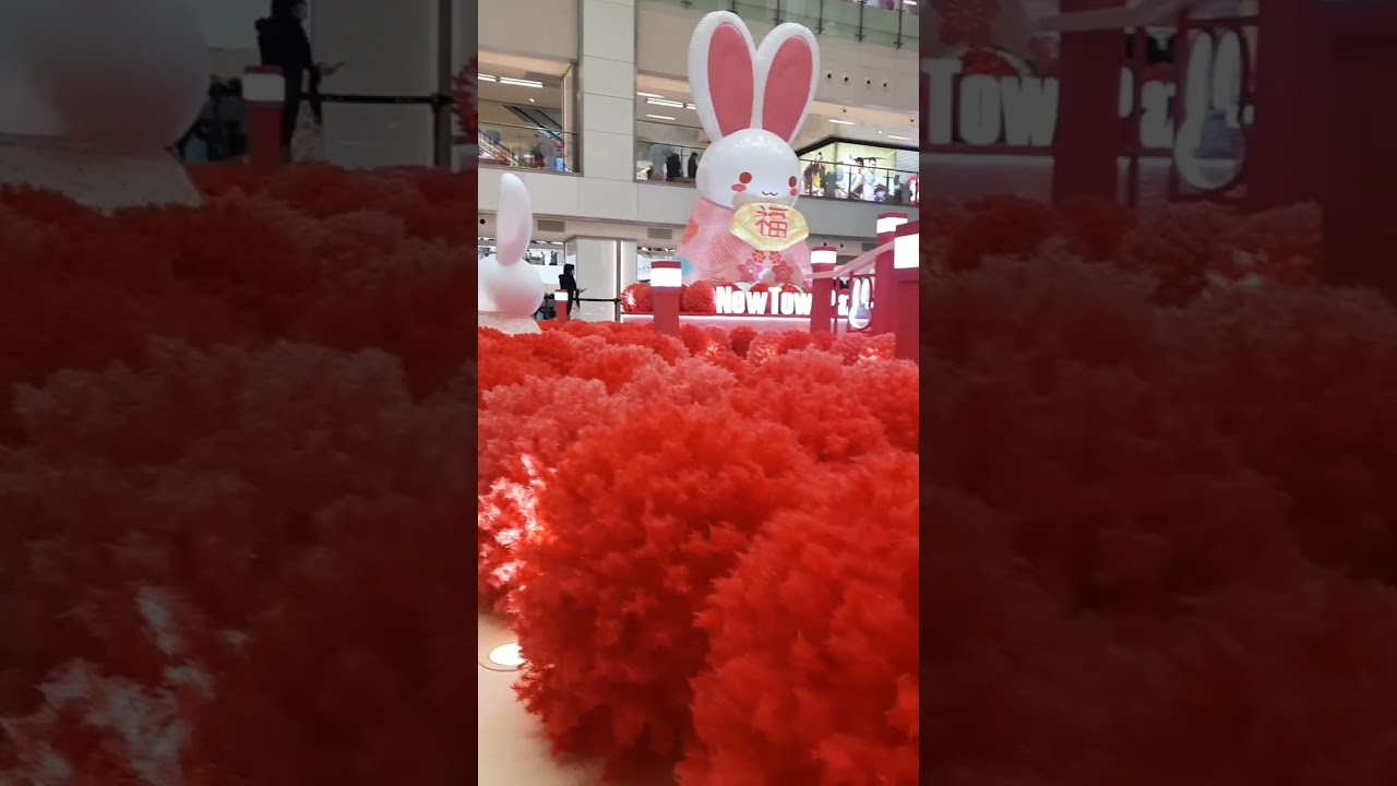 New Town Plaza #2023 #yearoftherabbit #shorts #shatin #hongkong #subscribers #subscribe #amazing