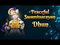 New Peaceful Swaminarayan Dhun in 4K | Non Stop Half Hour Dhun | શાંત સ્વામિનારાયણ ધ