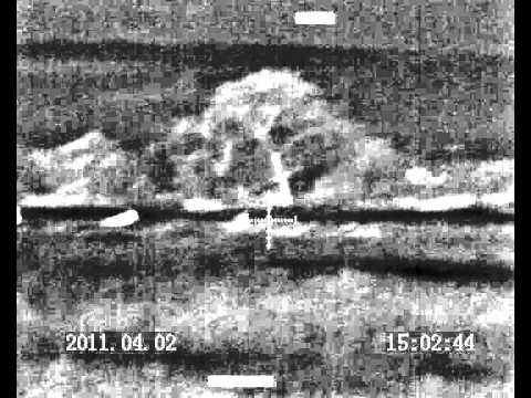 Oryx hunting in Namibia