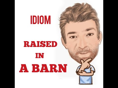 English Tutor Nick P Idioms (418) Raised in a Barn  - Origin