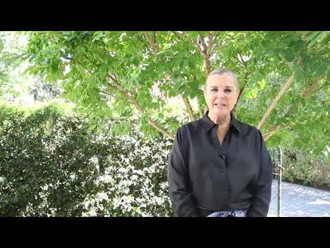 12 Hughes Street - Linden Park Sold at Auction