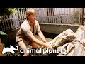 Heart Pounding Close Call Steve Irwin Vs Massive Crocodile Crocodile Hunter Animal Planet