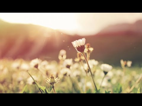 Psalm 32(33):4-6, 9,18-20,22 for the Most Holy Trinity - Happy The People The Lord Has Chosen