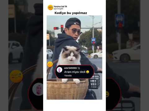 Kediye bu yapılmaz #komik #comedy #funny #flypシ