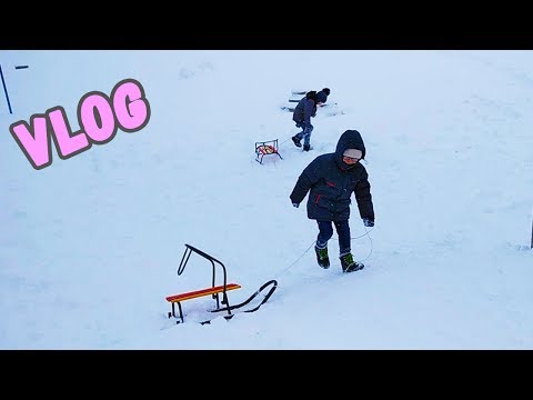 VLOG 07.01.2019 ОТЛИЧНАЯ ПРОГУЛКА ВЫХОДНОГО ДНЯ | ЛенаМуза