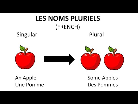 Learn French Plural Nouns for Beginners
