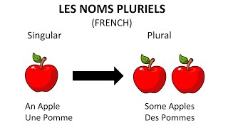 Learn French Plural Nouns for Beginners