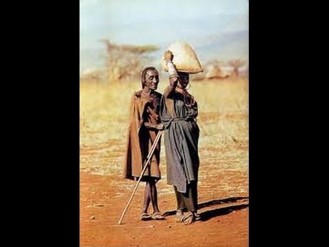 Tv7 con Voi sera del 28/01/2015 - Nuovo sviluppo per il territorio (3 di 6)