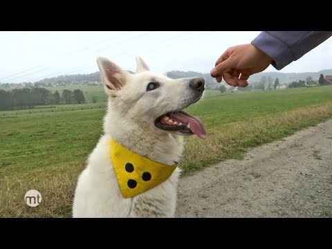 Kalbach: Dreamteam mit zwei Augen | maintower