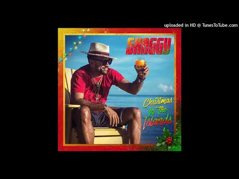 Shaggy   We Got Us (feat. Shenseea and OMI)