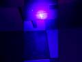😳 Blacklight in hotel room 😳