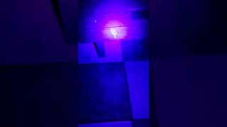 😳 Blacklight in hotel room 😳
