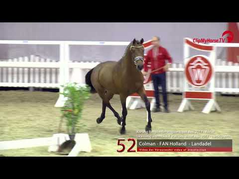 52 Junghengst v. Colman - FAN Holland