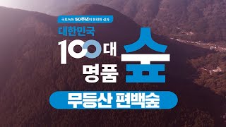 [#100대명품숲]  대도시 근처에 숨은 초록의 명소 #화순_무등산_편백숲