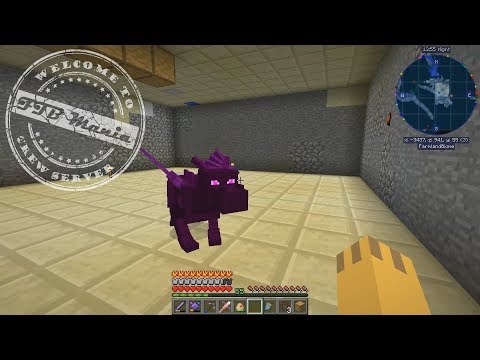 Eota 10 - Skládek, ender chest, ocelotí kotě, Drak! - FTBMania