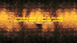 SUN DOMINGO 2010 EUROPEAN TOUR WEB PROMO