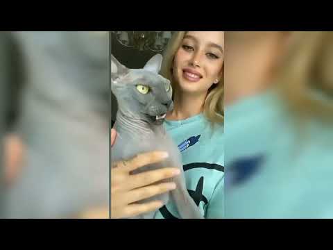 you laugh, you slap yourself 🤥