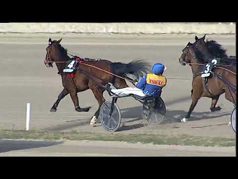 Napoli Trotto 24/02/2023 - 4ª corsa