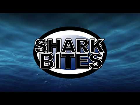 Balrog B/S IK vs Farsta IBK div 1