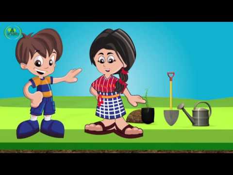 INAB INSTITUTO NACIONAL DE BOSQUES