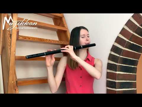 Muzikkon African Blackwood Irish Flute In D Tune Played By Dominyka Šeibok