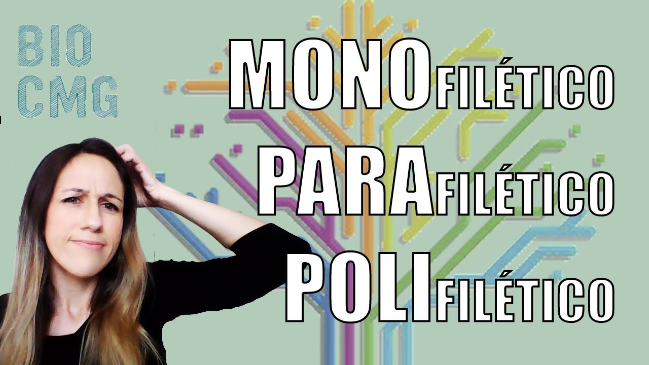 Monofilético, parafilético e polifilético: entenda para que construímos árvores filogenéticas