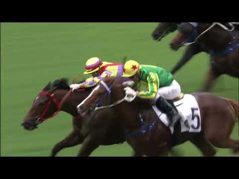 12/6/2022 (740) Dashing Triumph - Dylan Mo