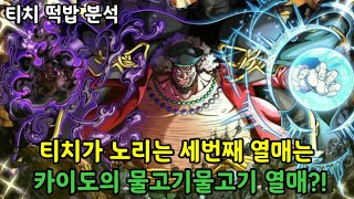 [원피스분석]티치가 노리는 세번째 열매는 카이도의 물고기물고기열매?!